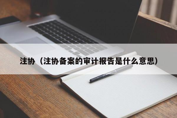 注协（注协备案的审计报告是什么意思）