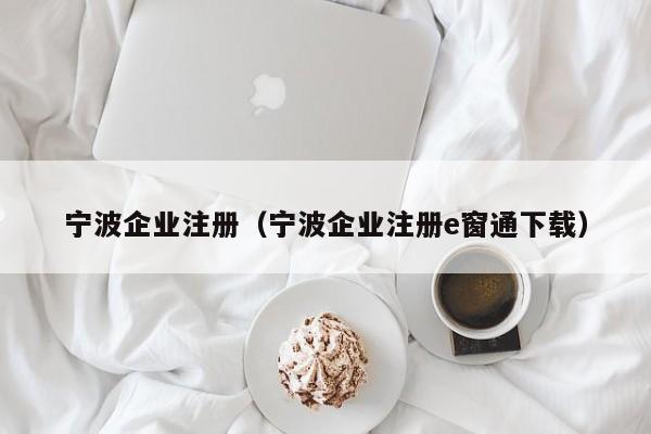 宁波企业注册（宁波企业注册e窗通下载）