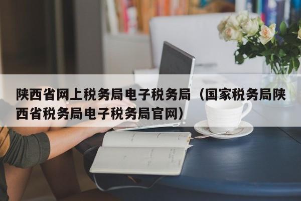 陕西省网上税务局电子税务局（国家税务局陕西省税务局电子税务局官网）