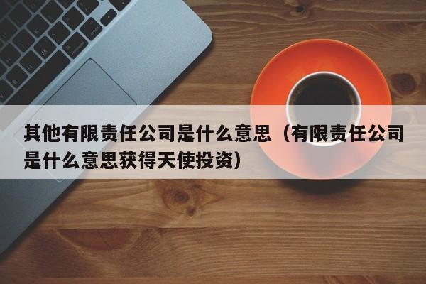 其他有限责任公司是什么意思（有限责任公司是什么意思获得天使投资）