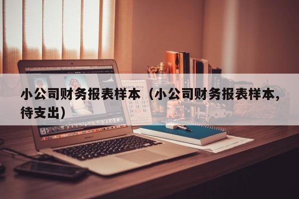 小公司财务报表样本（小公司财务报表样本,待支出）