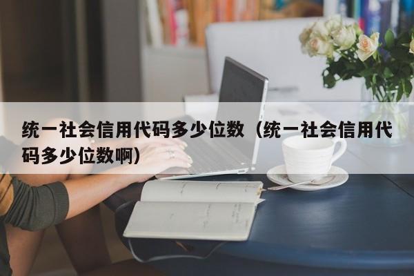 统一社会信用代码多少位数（统一社会信用代码多少位数啊）