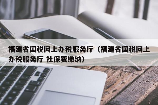 福建省国税网上办税服务厅（福建省国税网上办税服务厅 社保费缴纳）