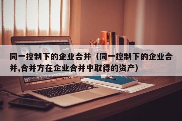 同一控制下的企业合并（同一控制下的企业合并,合并方在企业合并中取得的资产）