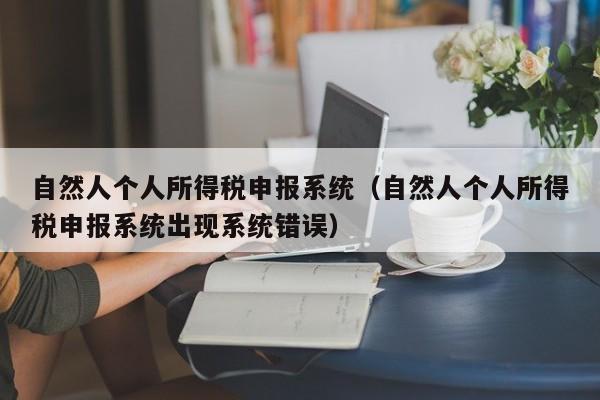 自然人个人所得税申报系统（自然人个人所得税申报系统出现系统错误）