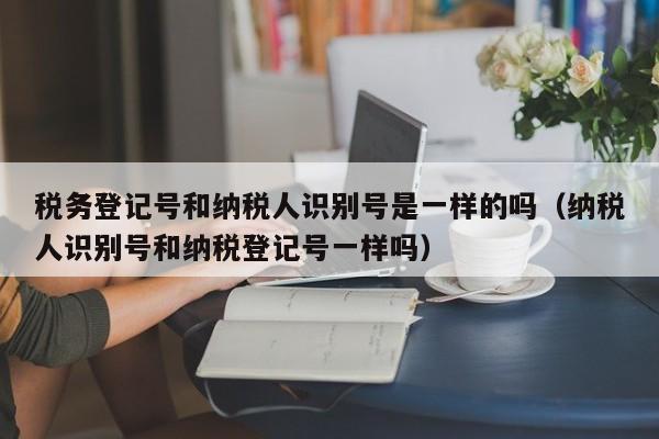 税务登记号和纳税人识别号是一样的吗（纳税人识别号和纳税登记号一样吗）