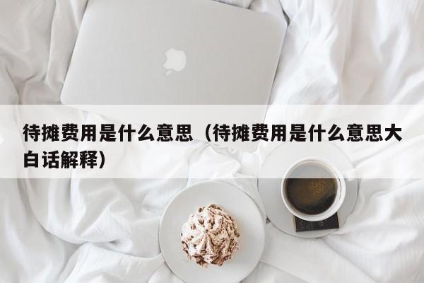 待摊费用是什么意思（待摊费用是什么意思大白话解释）