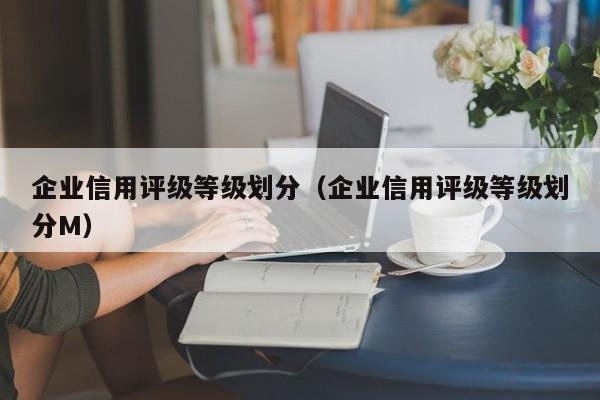 企业信用评级等级划分（企业信用评级等级划分M）