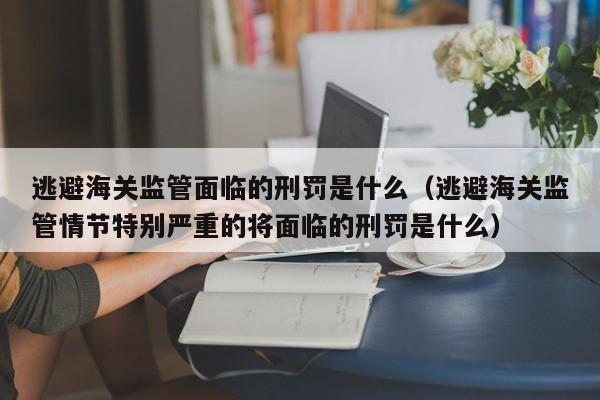 逃避海关监管面临的刑罚是什么（逃避海关监管情节特别严重的将面临的刑罚是什么）