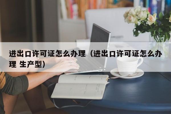 进出口许可证怎么办理（进出口许可证怎么办理 生产型）