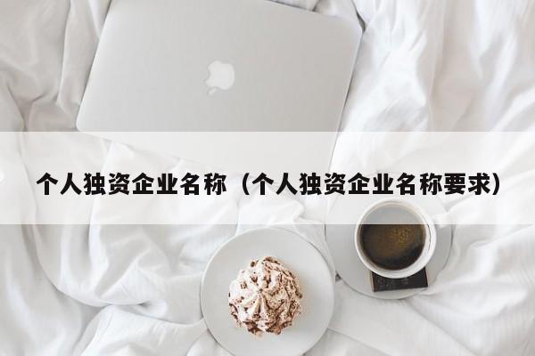 个人独资企业名称（个人独资企业名称要求）