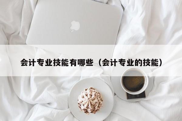 会计专业技能有哪些（会计专业的技能）