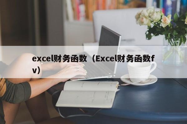 excel财务函数（Excel财务函数fv）