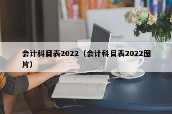 会计科目表2022（会计科目表2022图片）