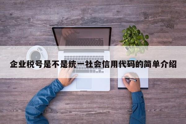 企业税号是不是统一社会信用代码的简单介绍