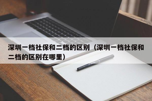 深圳一档社保和二档的区别（深圳一档社保和二档的区别在哪里）