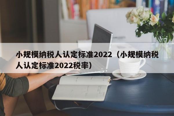 小规模纳税人认定标准2022（小规模纳税人认定标准2022税率）