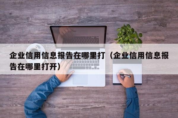 企业信用信息报告在哪里打（企业信用信息报告在哪里打开）