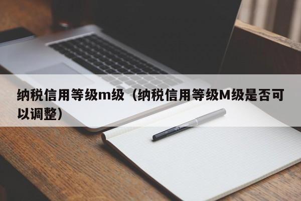 纳税信用等级m级（纳税信用等级M级是否可以调整）