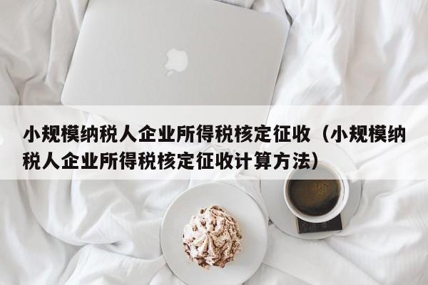 小规模纳税人企业所得税核定征收（小规模纳税人企业所得税核定征收计算方法）