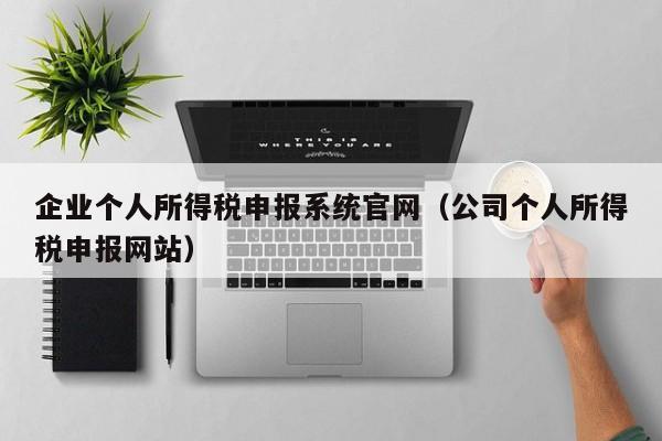 企业个人所得税申报系统官网（公司个人所得税申报网站）