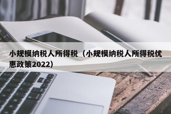 小规模纳税人所得税（小规模纳税人所得税优惠政策2022）