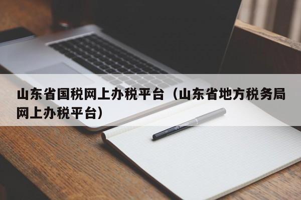 山东省国税网上办税平台（山东省地方税务局网上办税平台）