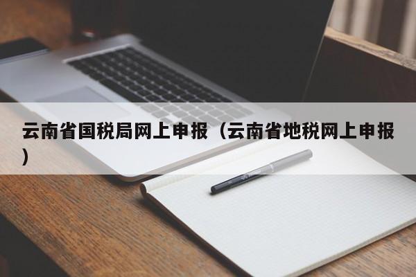 云南省国税局网上申报（云南省地税网上申报）