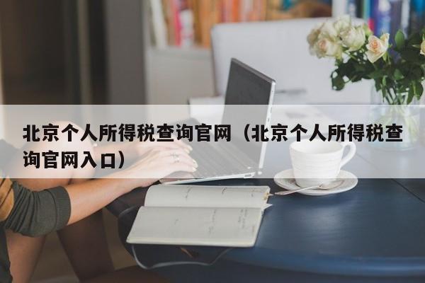 北京个人所得税查询官网（北京个人所得税查询官网入口）