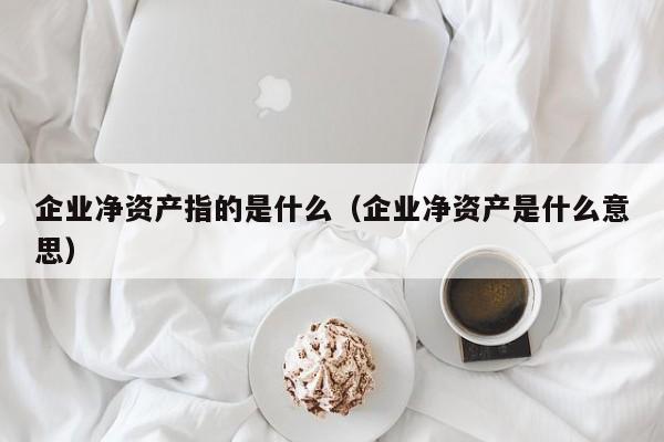 企业净资产指的是什么（企业净资产是什么意思）