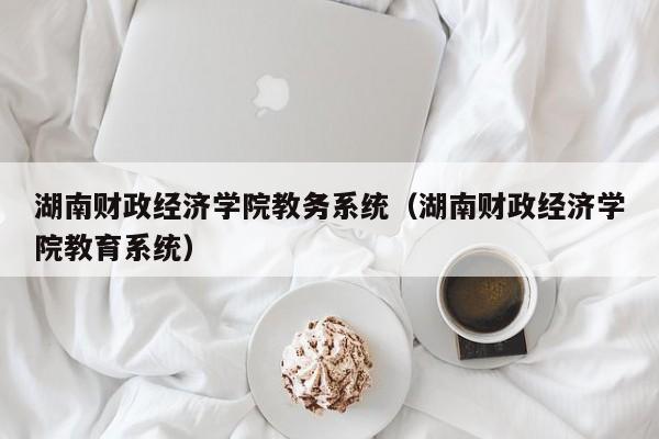 湖南财政经济学院教务系统（湖南财政经济学院教育系统）