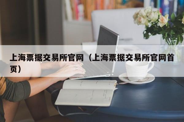 上海票据交易所官网（上海票据交易所官网首页）