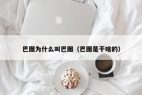 巴图为什么叫巴图（巴图是干啥的）