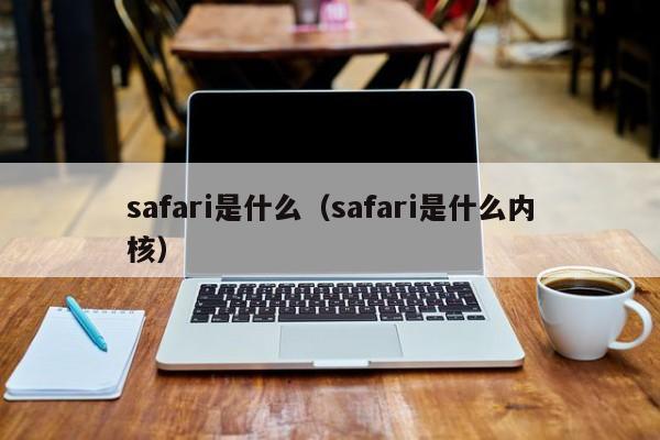 safari是什么（safari是什么内核）