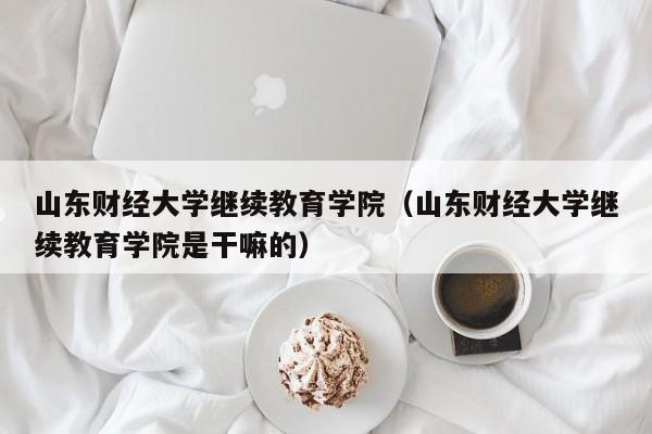 山东财经大学继续教育学院（山东财经大学继续教育学院是干嘛的）