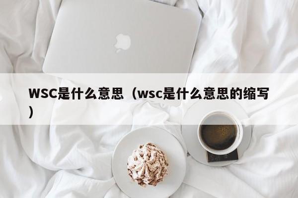 WSC是什么意思（wsc是什么意思的缩写）