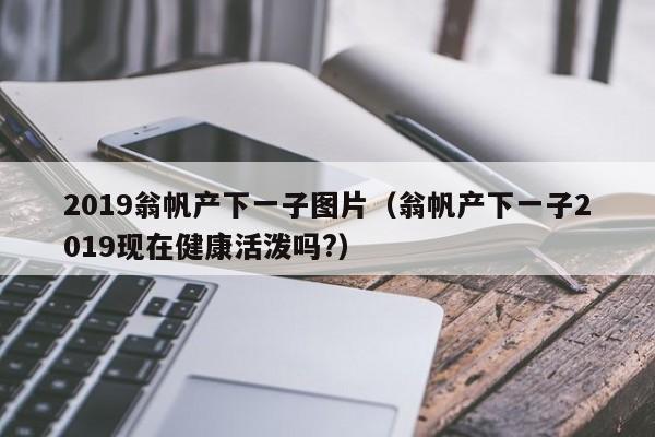 2019翁帆产下一子图片（翁帆产下一子2019现在健康活泼吗?）