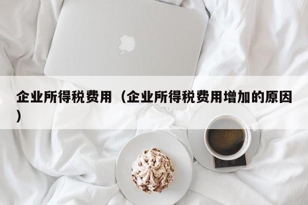 企业所得税费用（企业所得税费用增加的原因）