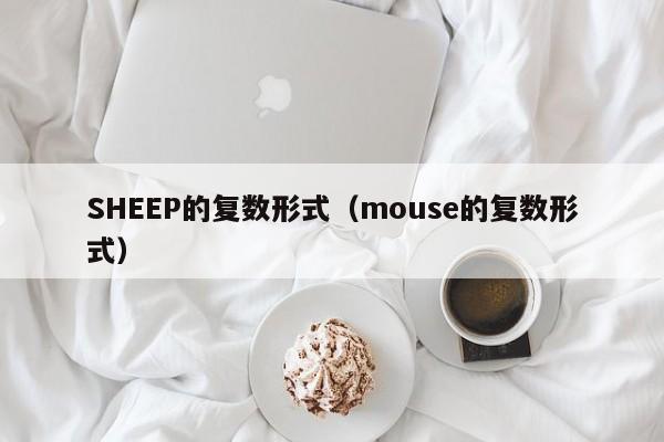 SHEEP的复数形式（mouse的复数形式）