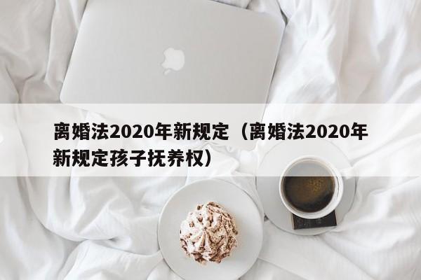 离婚法2020年新规定（离婚法2020年新规定孩子抚养权）